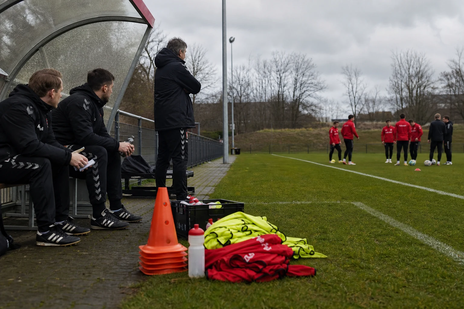 1. FC Köln hankki Thijs Dallingan lainalle Bolognasta